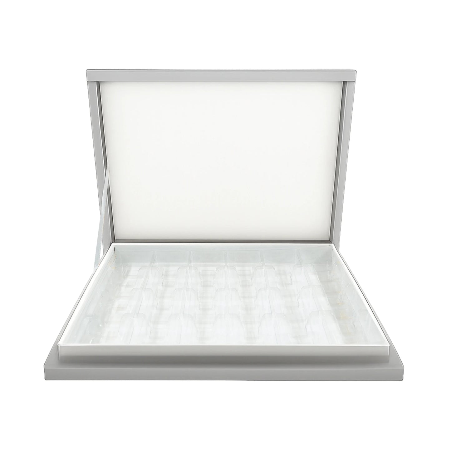 Silver Madlen Kutusu
